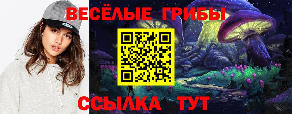 Псилоцибиновые грибы прущие грибы Новоалександровск