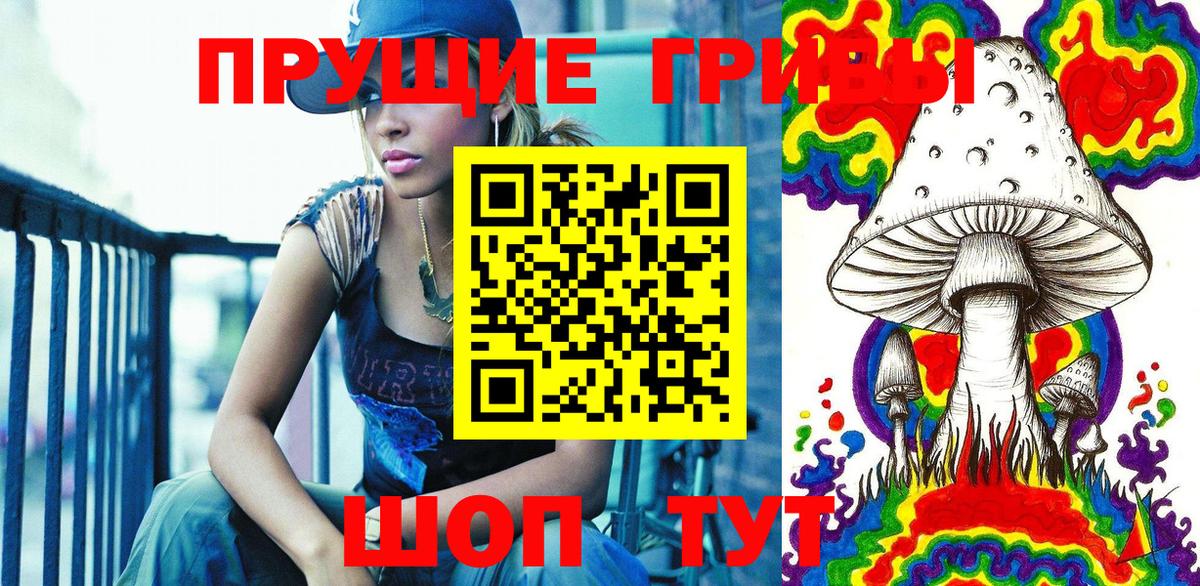Псилоцибиновые грибы GOLDEN TEACHER  Вход с VPN  Новоалександровск 